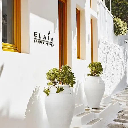Elaia Luxury Mykonos Holiday home *