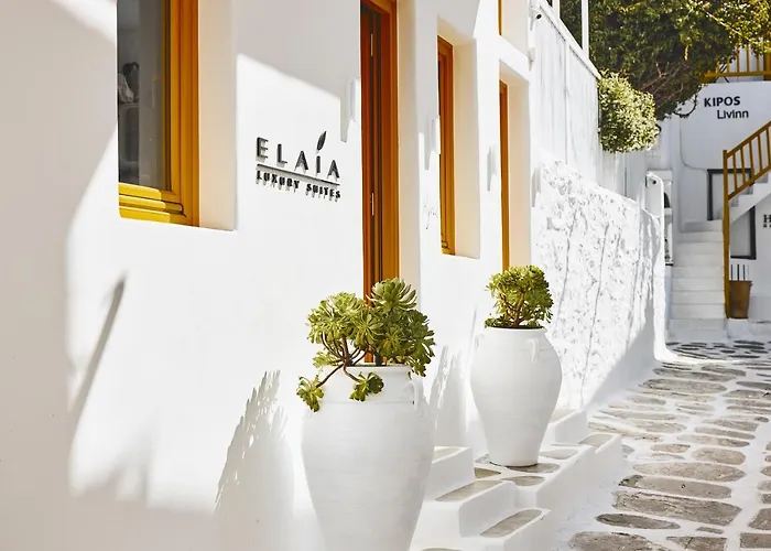 Elaia Luxury Mykonos 펜션 *