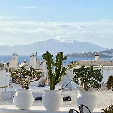 Elaia Luxury Mykonos 펜션 *