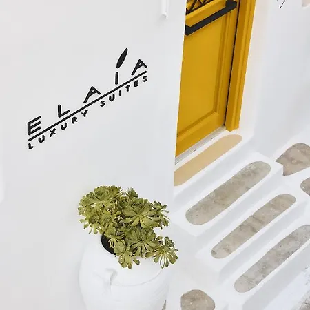 펜션 Elaia Luxury Mykonos *