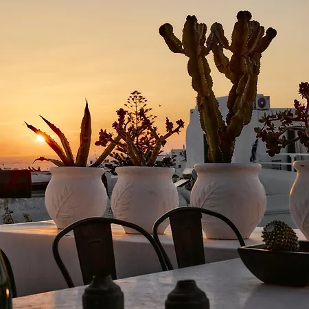 펜션 Elaia Luxury Mykonos *